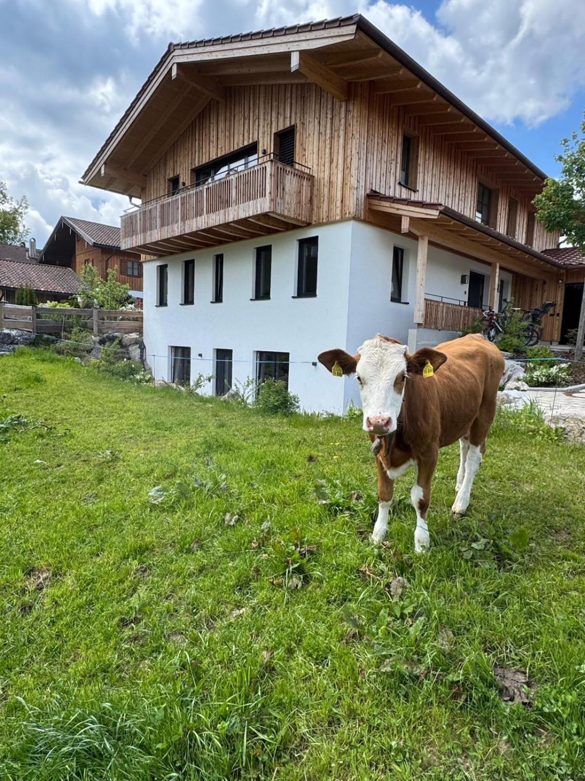 Ferienwohnung Gschwendt Miesbach Exterior foto